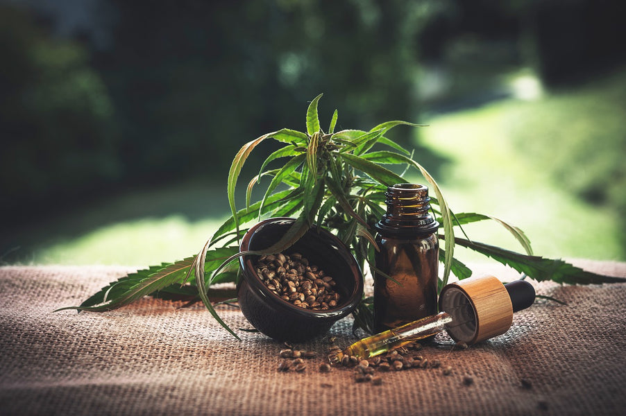 CBD Pros and Cons—What You Need to Know