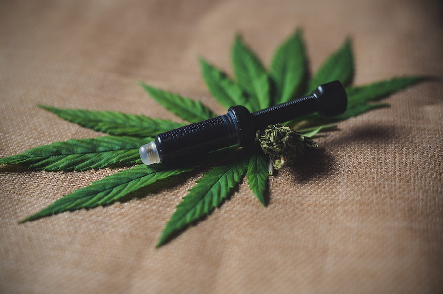 What Does CBD Stand for in Medical Terms?
